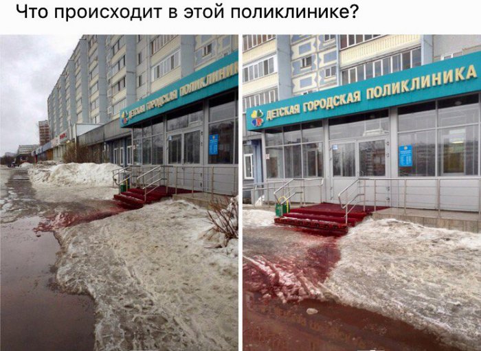 Забавные картинки