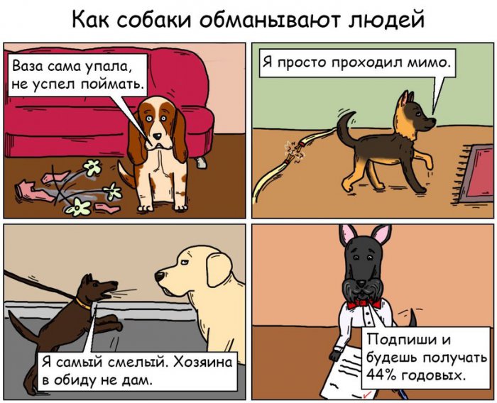 Забавные картинки