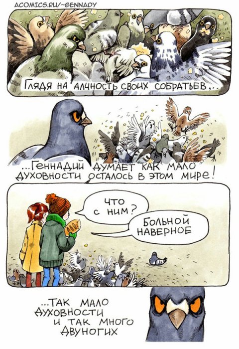 Забавные картинки