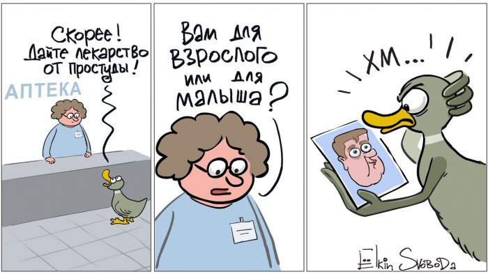 Забавные картинки