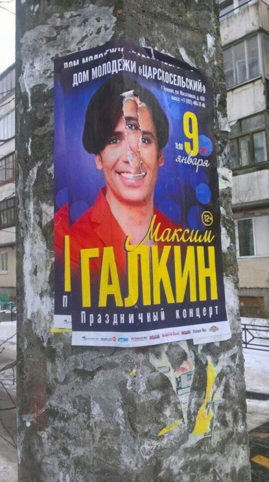 Забавные картинки