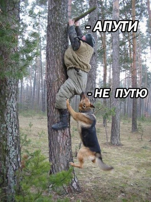Забавные картинки
