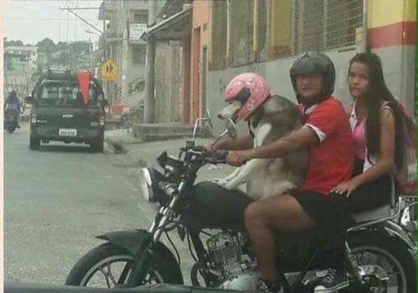Забавные картинки