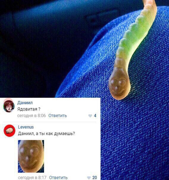 Забавные картинки