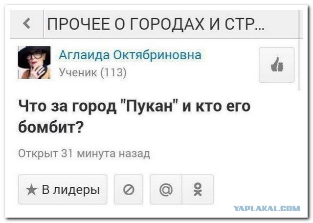 Забавные картинки