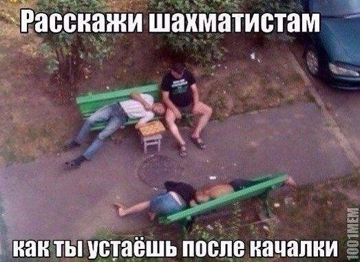 Забавные картинки