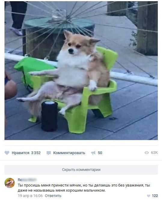 Забавные картинки
