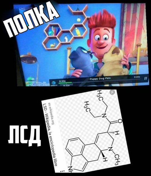 Забавные картинки