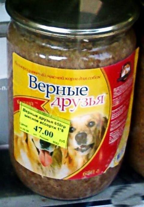 Забавные картинки