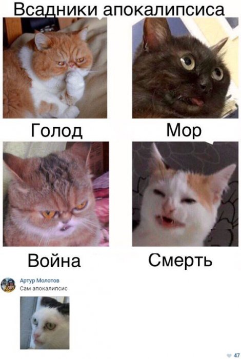 Забавные картинки