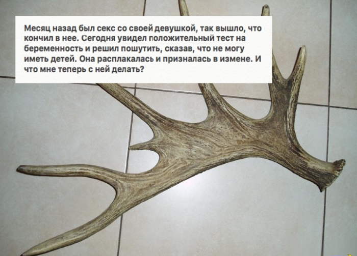 Парень с рогами просит совета
