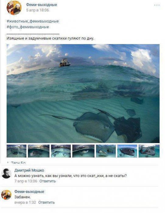 Забавные картинки