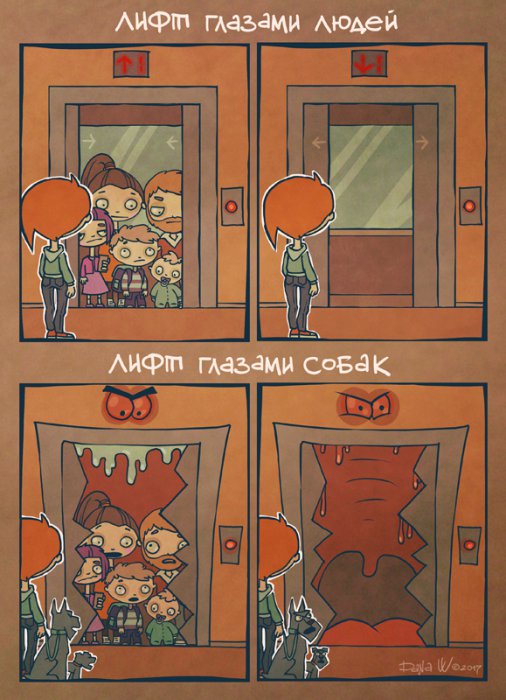 Забавные картинки