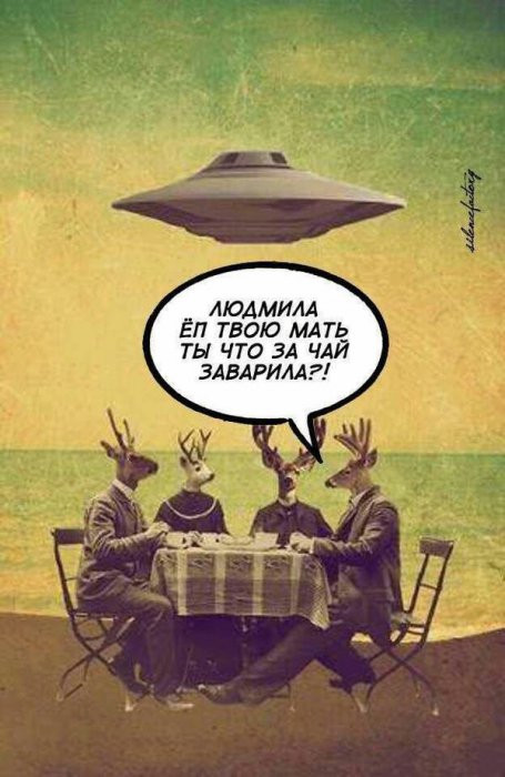 Забавные картинки