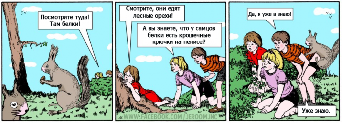 Забавные картинки