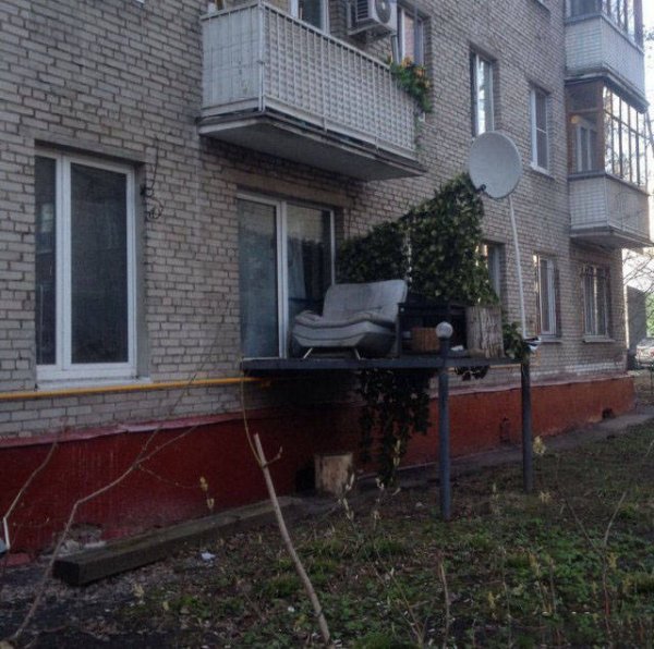Забавные картинки