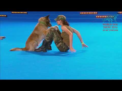 Танцы с собакеном