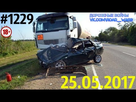Дорожные войны №1229