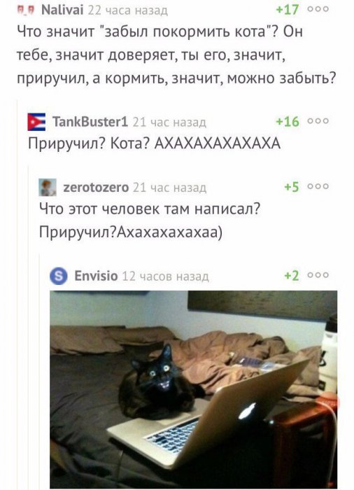 Забавные картинки