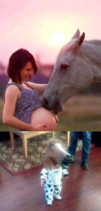 Забавные картинки