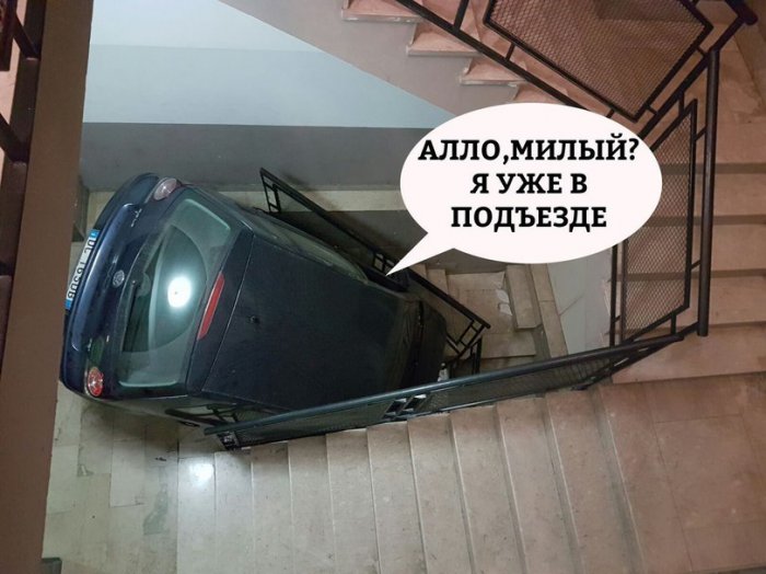 Забавные картинки