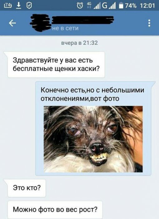 Забавные картинки