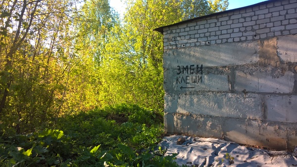 Забавные картинки
