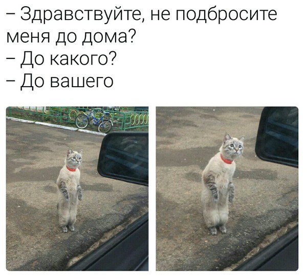 Забавные комментарии