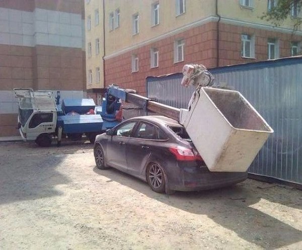 Забавные картинки