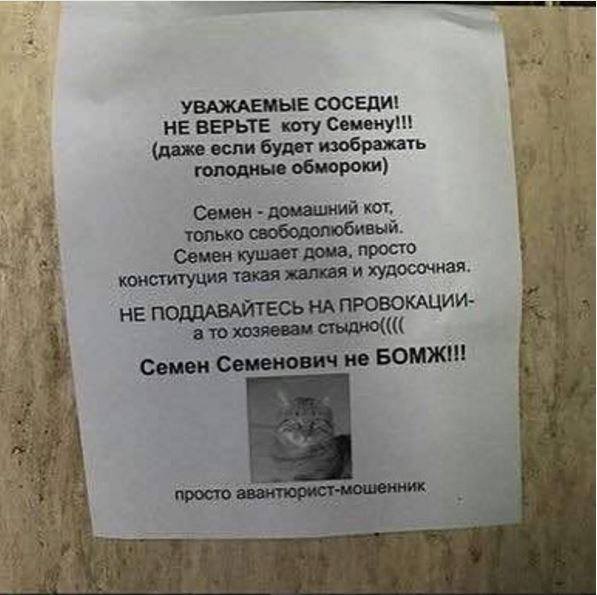 Забавные картинки