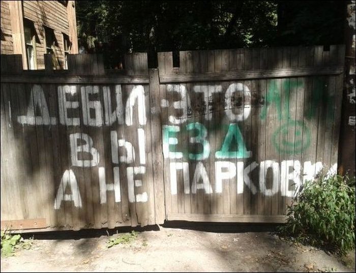 Забавные картинки