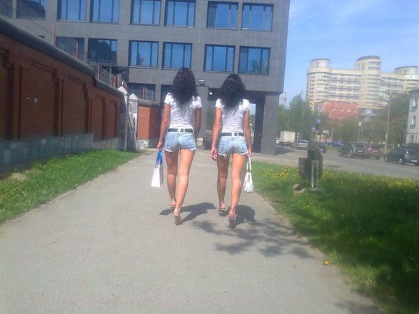 Забавные картинки