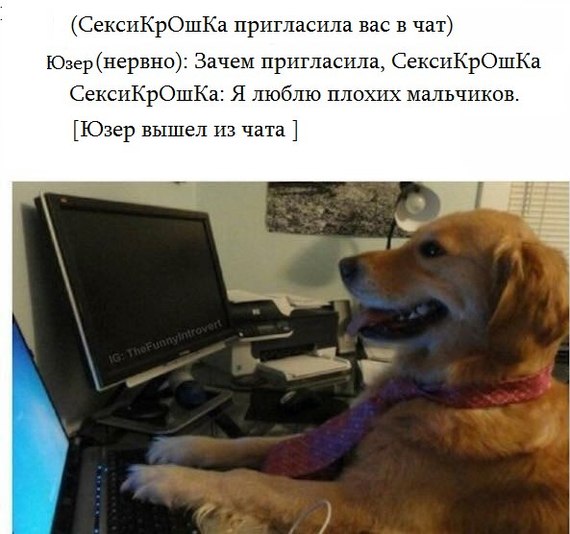 Забавные картинки