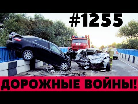 Дорожные войны №1255