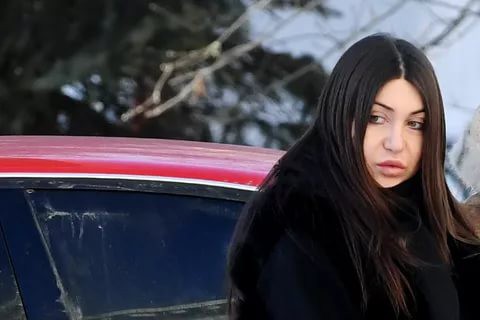 Багдасарян захотела рассказать Путину о произволе    