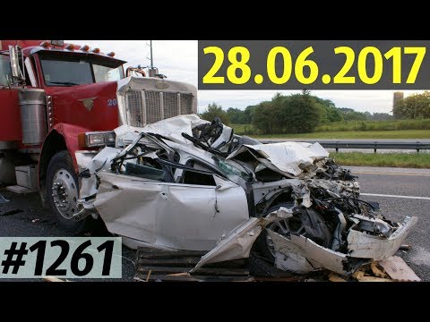 Дорожные войны №1261