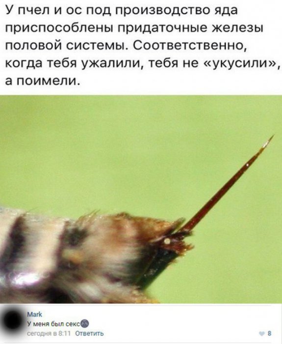 Забавные комментарии