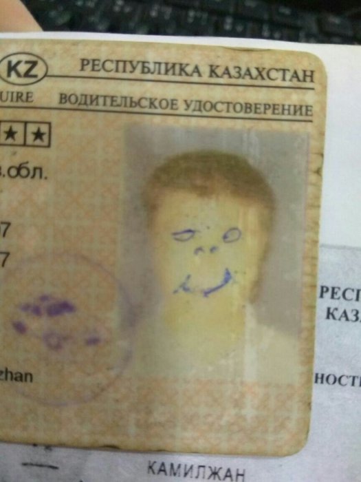 Забавные картинки