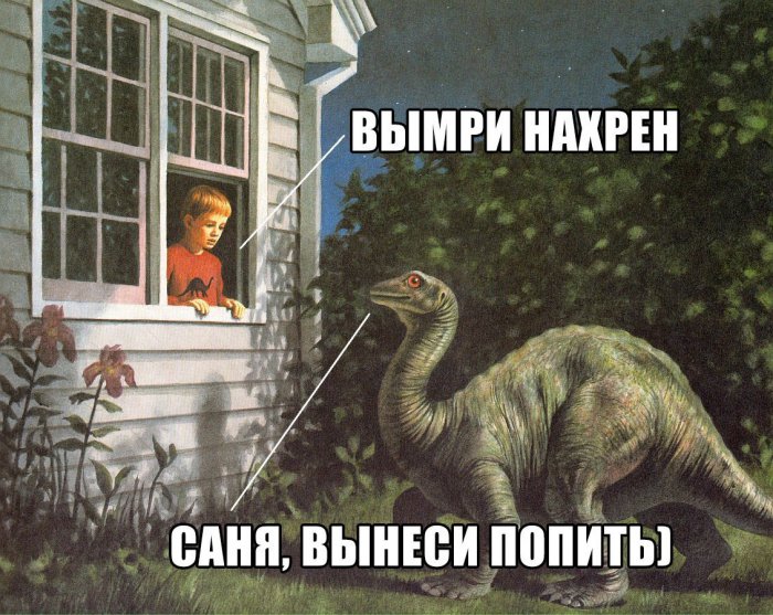 Забавные картинки