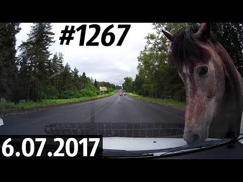 Дорожные войны №1267