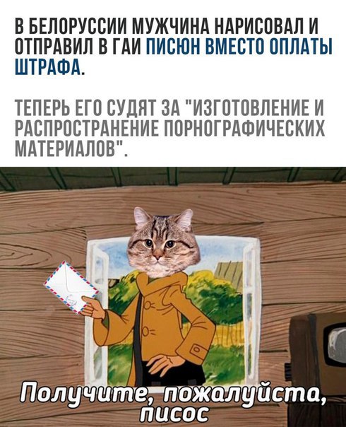 Забавные картинки