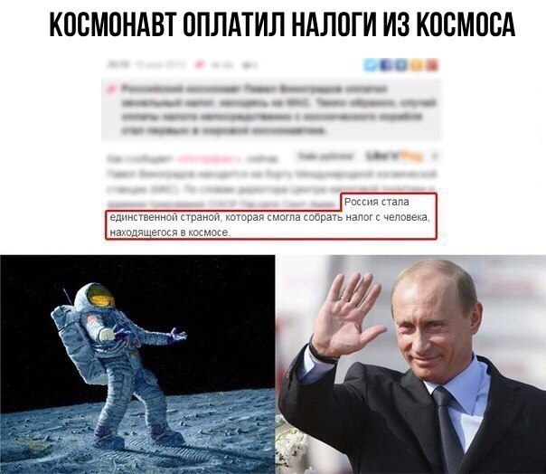 Забавные картинки