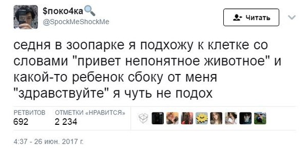 Забавные картинки