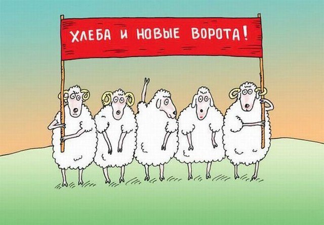 Все, что написано в интернете, – правда