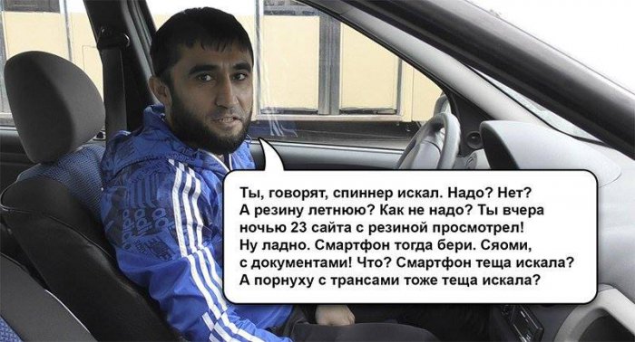 Забавные картинки