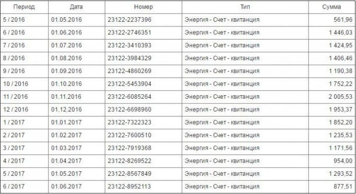 Мой электромобиль после года в России и 25000 км    
