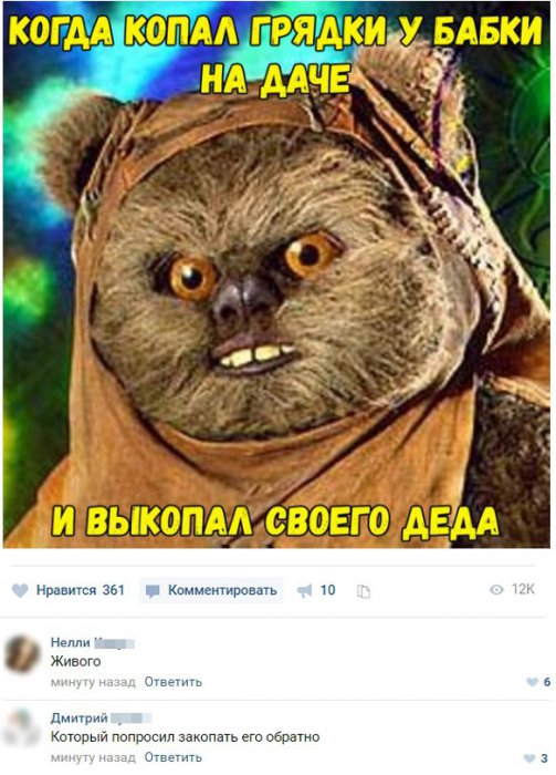 Забавные картинки