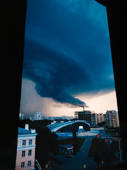 Забавные картинки