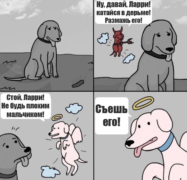 Забавные картинки