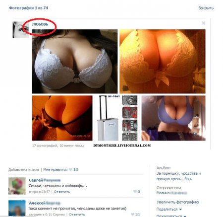 Забавные картинки